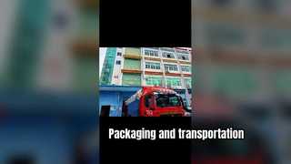 Professional Packaging and Secure Shipping Solutions